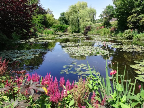 Monet's lilly pond, Giverny, France