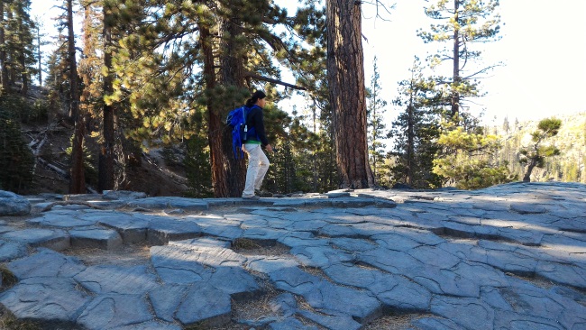 Tile-like hexagons at the top of the postpiles, Devil's Postpile National Monument, California