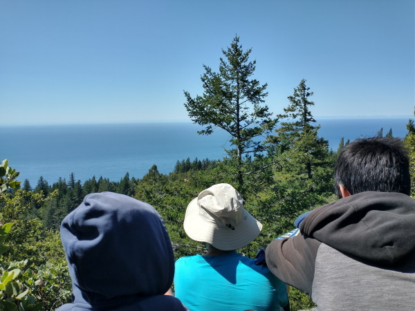 Our peek-a-boo view of the ocean during lunch at Chinquapin Loop, Lost Coast Trail, CA