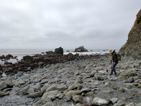 The beach gets rocky near Sea Lion Gulch near one of the Impassable stretches of the Lost Coast, California