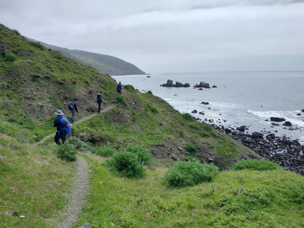 Cliffside trail at Lost Coast, California