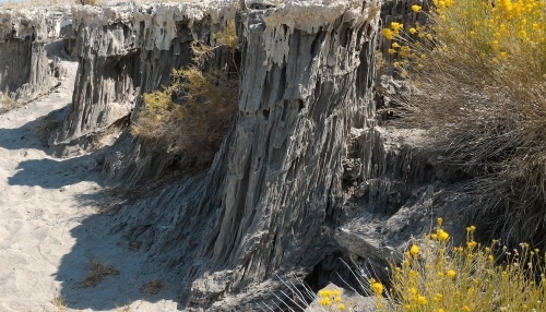 Different Tufa Formations at Navy Beach, Mono Lake, California