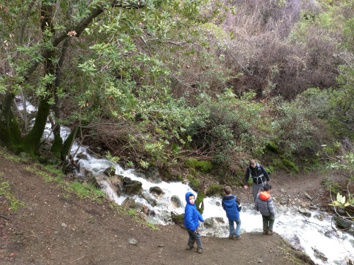 One of many stream crossings at Falls Trail, Mt Diablo State Park, CA