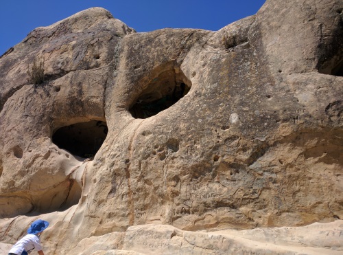 Holes sculpted into the rocks of Wind Caves, Rock City, Mt Diablo State Park, CA