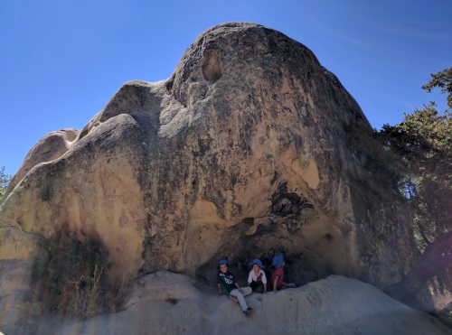 One of many wind-carved rocks at Rock City, Mt Diablo State Park, CA