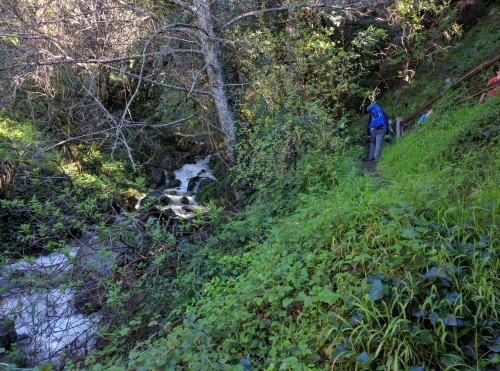 More waterfalls along Matt Davis Trail, Mt. Tamalpais, CA