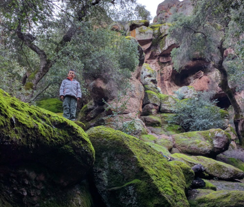 On top of the mossy rocks along the Bear Gulch Trail, Pinnacles NP, CA