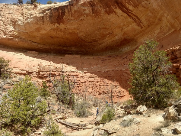 Multi-level Dwelling Ruins within an Alcove, Canyon of the Ancients NM, CO