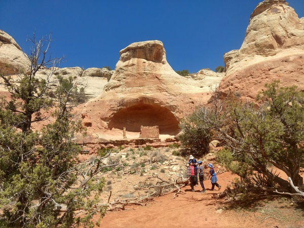 Dwelling Ruins within a 'chimney' rock formation, Canyon of the Ancients NM, CO