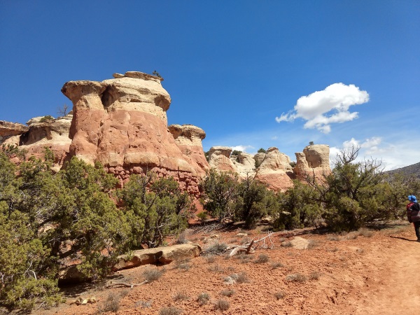 Giant 'Teapot' rock formations along Sand Canyon Trail, Canyon of the Ancients NM, CO