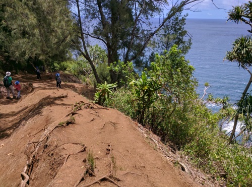 Trail Terrain from the top to Black Sand Beach, at Pololu Valley, Big Island, HI