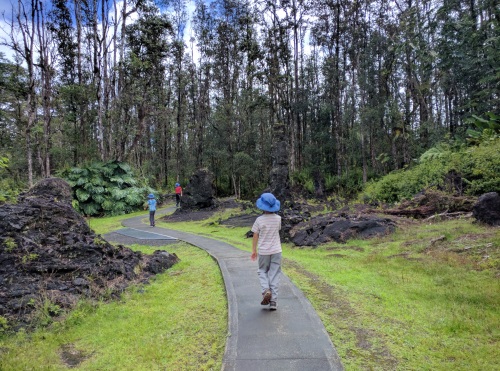 Lava pillars formed around standing trees in Lava Trees State Monument, Big Island, HI