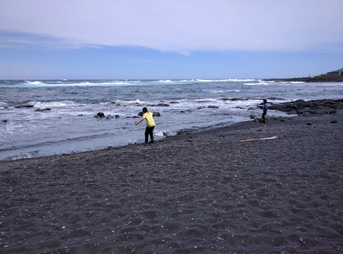 Punalu'u - Black Sand Beach in the south part of Big Island, HI