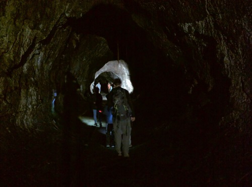 Walking through the dark and damp Thurston Lava Tube, Big Island, HI