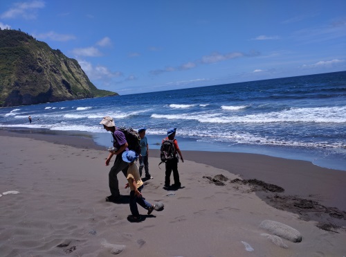 Black Sand Beach at the bottom of Waipio Valley, Big Island, HI