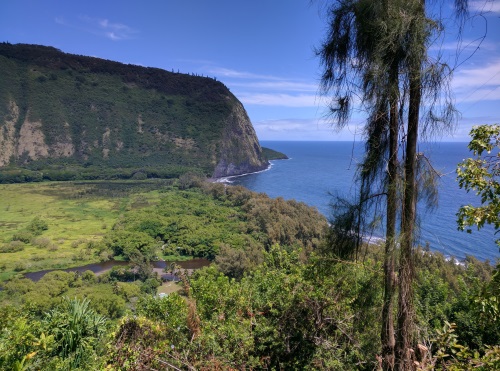 View from midway down the hill at Waipio Valley, Big Island, HI