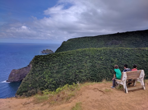 View from the wooden bench plateau over Honokane Nui Stream, Big Island, HI