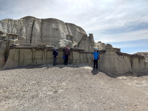 Petrified log in Bisti Badlands, NM