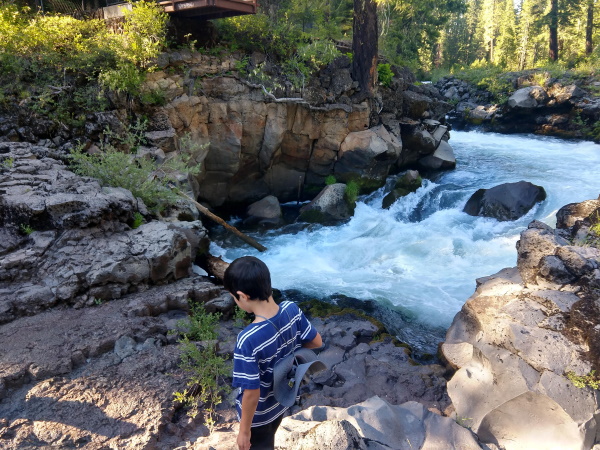 The spot where the Rogue River disappears underground into a lava tube, Natural Bridge, OR