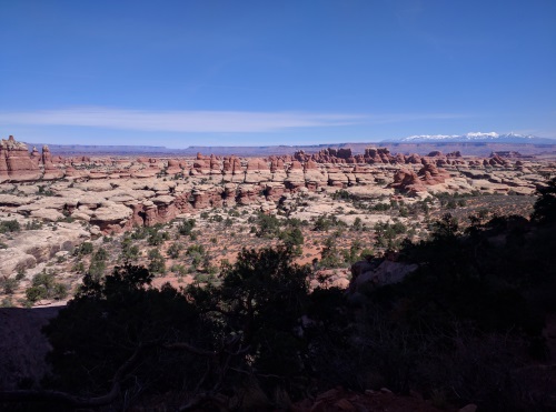 Mushroom rocks from above, Chesler Park, Canyonlands NP, UT