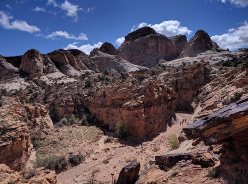 Viewing Capitol Gorge from above, Capitol Reef NP, UT