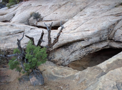 Potholes progressing to arches, on Hickman Bridge Trail, Capitol Reef National Park, UT